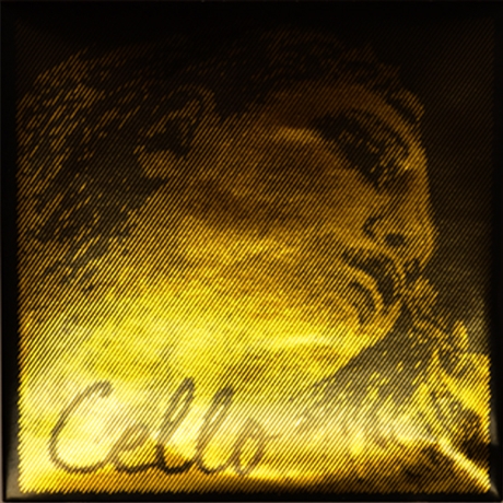 Evah-Pirazzi-Gold-cello_4401