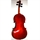 Fiol/violin