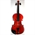 Fiol/violin