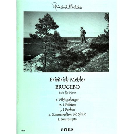 Mehler Friedrich