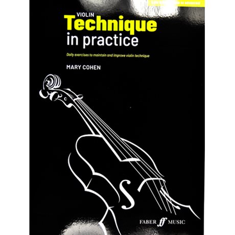 Violin Technique in Practice