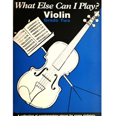 What else can I play violin