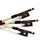 Gewa Carbon Student Wood