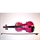 Stentor Harlequin fiolsats rosa